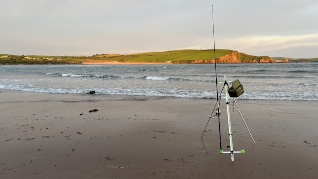 South Devon bass fishing early May 2026 Bantham Hope Cove Start Point